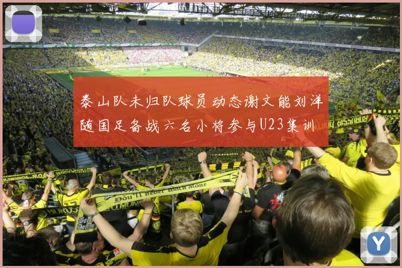 泰山队未归队球员动态谢文能刘洋随国足备战六名小将参与U23集训