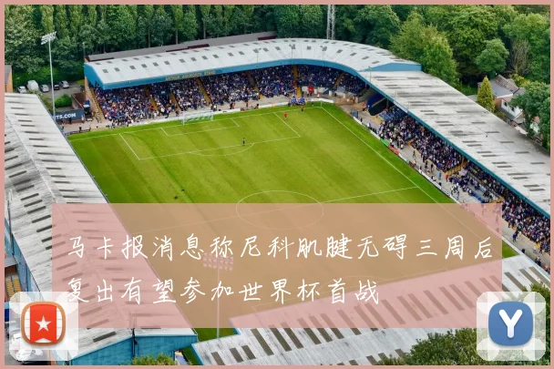 马卡报消息称尼科肌腱无碍三周后复出有望参加世界杯首战